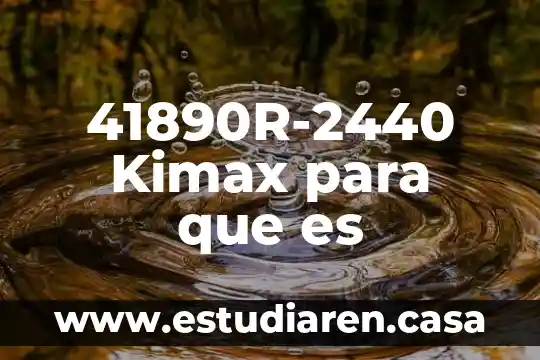Que es papem punta 3 41890R-2440 Kimax para que es
