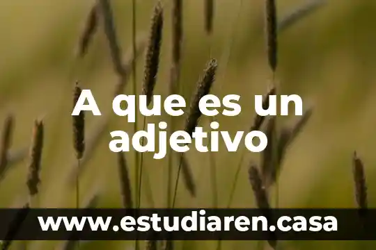 Que es adjetivo calificativo en ingles 3 A que es un adjetivo