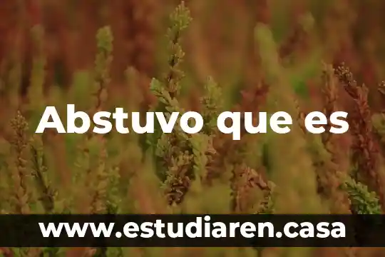 Abstuvo que es