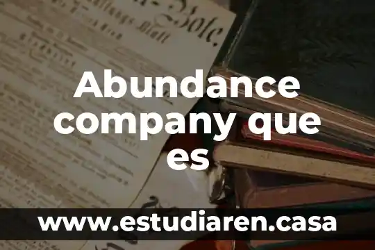Abundance company que es
