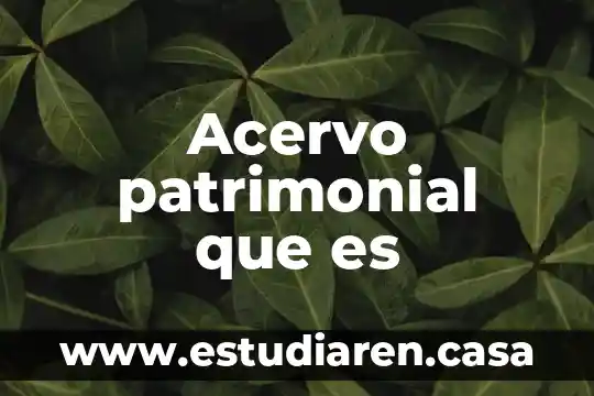 Acervo de resguardo que es 6 Acervo patrimonial que es