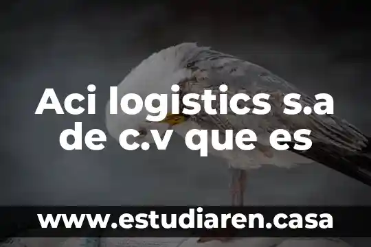 Sistemas contino sa de cv que es 7 Aci logistics s.a de c.v que es