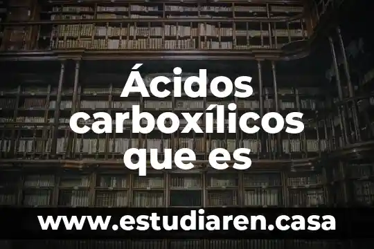 Qué es ácidos binarios y usos 5 Ácidos carboxílicos que es
