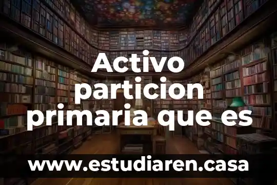 Activo particion primaria que es