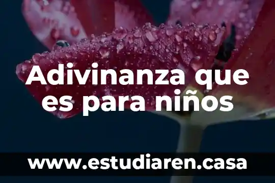 Por que es importanted que los niños comoscan su cominidad 5 Adivinanza que es para niños