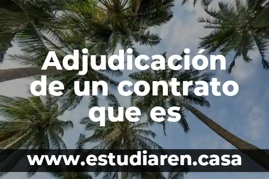 Que es la adquisicion y la adjudicacion en derecho 3 Adjudicación de un contrato que es