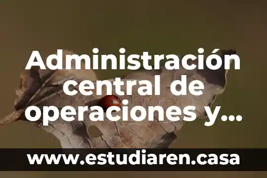 Qué es central en estadística 5 Administración central de operaciones y servicios tecnológicos que es