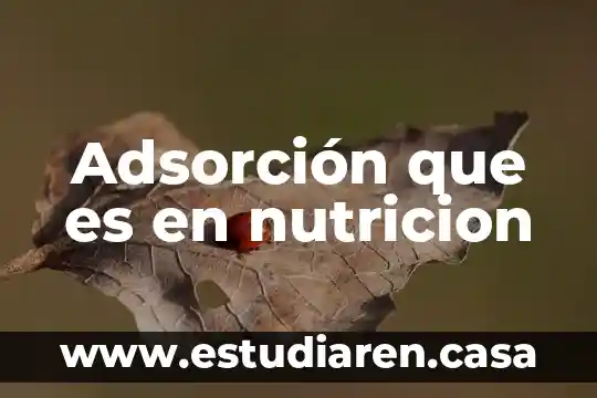 Adsorción que es en nutricion