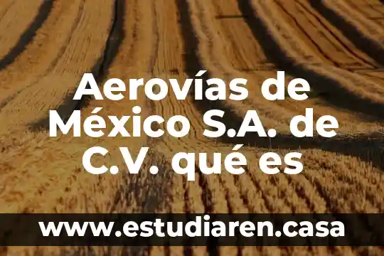 Aerovías de México S.A. de C.V. qué es