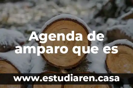 Que es la agenda 2030 y sus objetivos 6 Agenda de amparo que es