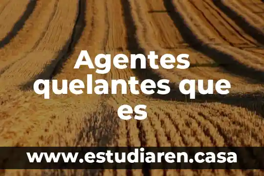 Que es un personaje incidental en un cuento 6 Agentes quelantes que es