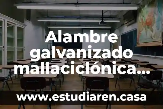 Alambre galvanizado mallaciclónica que es