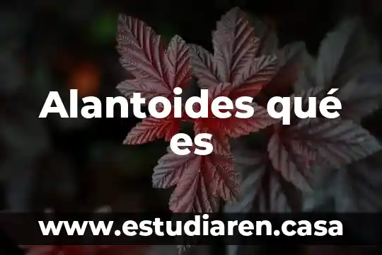 Alantoides qué es