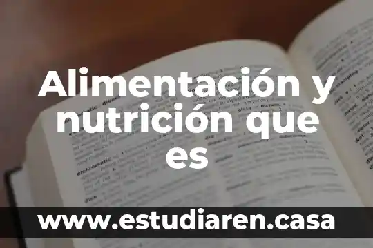 Adsorción que es en nutricion 5 Alimentación y nutrición que es