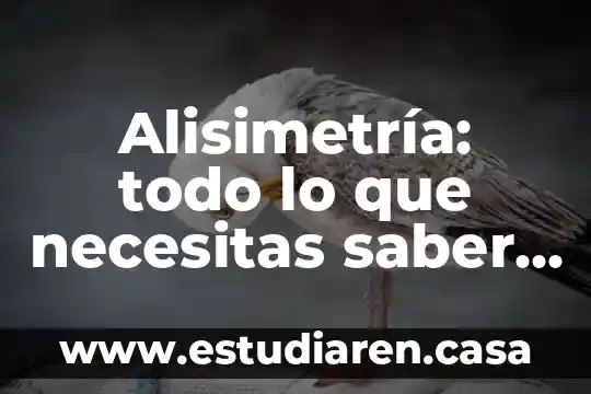 Alisimetría: todo lo que necesitas saber sobre esta condición