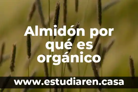 Que es mas soluble el azucar o el almidon 6 Almidón por qué es orgánico