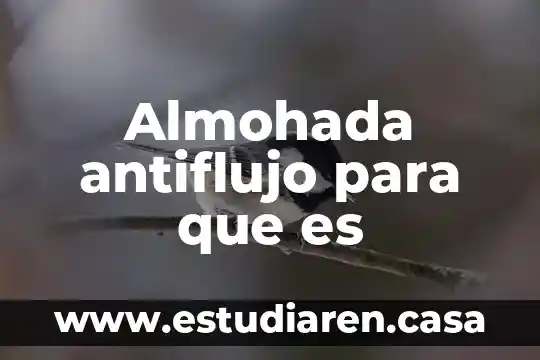 Almohada antiflujo para que es