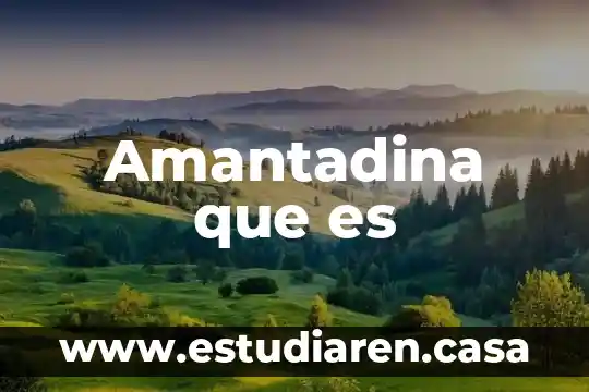Amantadina que es