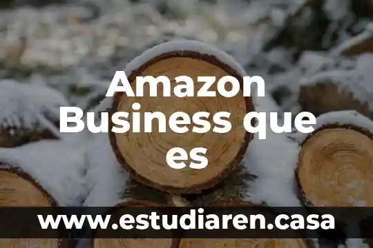 E business que es y para que sirve 4 Amazon Business que es