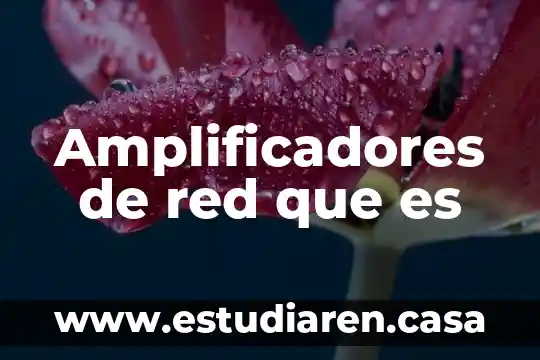 Que es red en diseño 4 Amplificadores de red que es