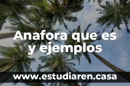 Que es el software de desarrollo ejemplos 3 Anafora que es y ejemplos