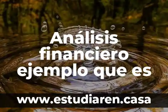 Que es el gasto financiero relacionado acosto 5 Análisis financiero ejemplo que es