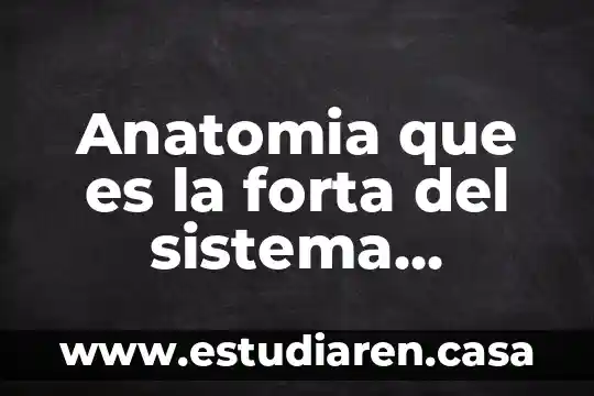 Anatomia que es la forta del sistema circulatorio