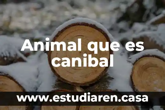 Animal que es canibal