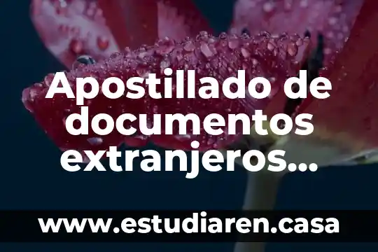 Apostillado de documentos extranjeros que es