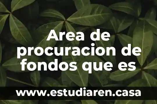 Que es el manejo de fondos publicos 7 Area de procuracion de fondos que es