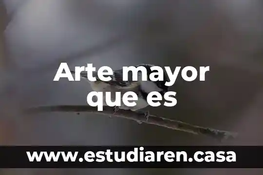 Por que es importante en el adulto mayor 6 Arte mayor que es