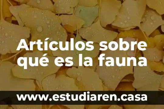 Que es la fauna de la costa 4 Artículos sobre qué es la fauna