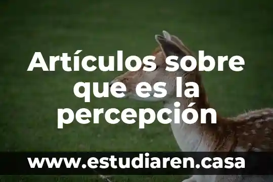 Qué es percepción de marca 3 Artículos sobre que es la percepción