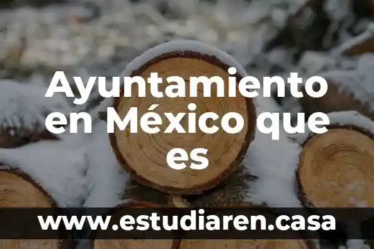 Que es la masculinidad en méxico 7 Ayuntamiento en México que es