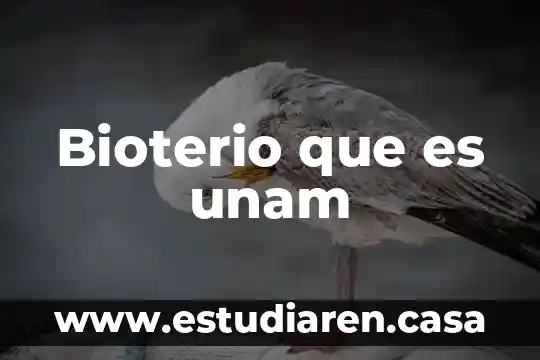 Qué es alimentarse unam 8 Bioterio que es unam