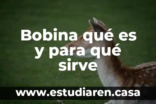 Bobina qué es y para qué sirve