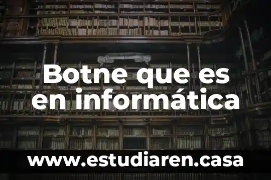 Botne que es en informática