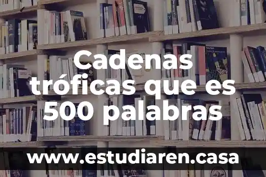Bienestar en pocas palabras que es 3 Cadenas tróficas que es 500 palabras