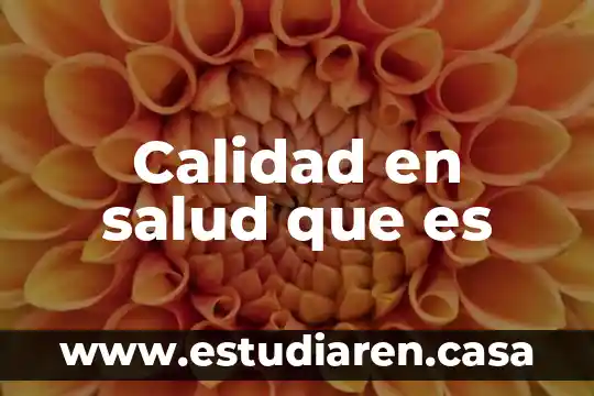 Calidad en salud que es