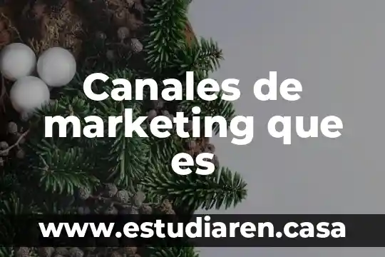 Canales de venta que es 6 Canales de marketing que es