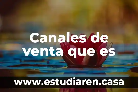 Qué es un mercado canales en mercadotecnia 6 Canales de venta que es