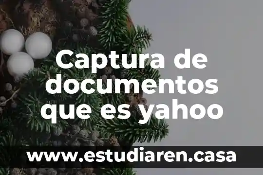 Captura de documentos que es yahoo