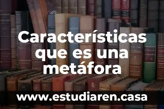 Qué es la metáfora explicada para niños 8 Características que es una metáfora