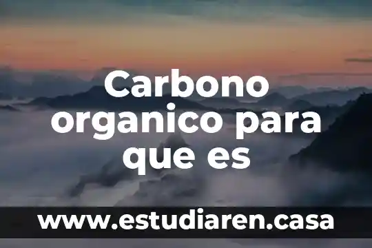 Carbono organico para que es