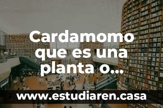 Vainilla planta que es 7 Cardamomo que es una planta o semilla
