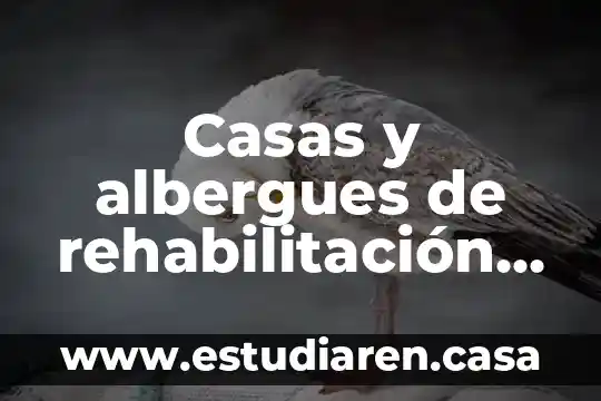 Casas y albergues de rehabilitación agua viva a.c que es