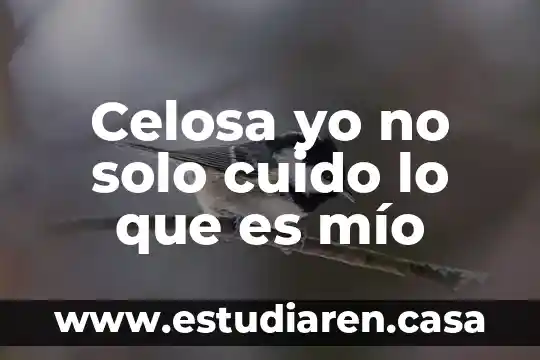 Que es un correo solo de texto 4 Celosa yo no solo cuido lo que es mío