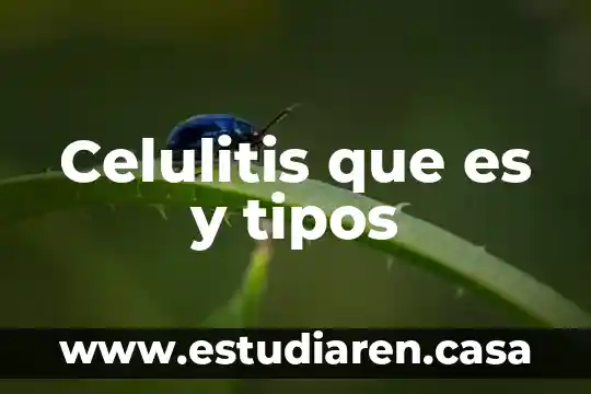 Qué es la pielonefritis y tipos 8 Celulitis que es y tipos