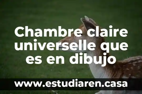 Chambre claire universelle que es en dibujo