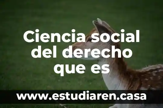 Que es una camara frontal en un celular 4 Ciencia social del derecho que es